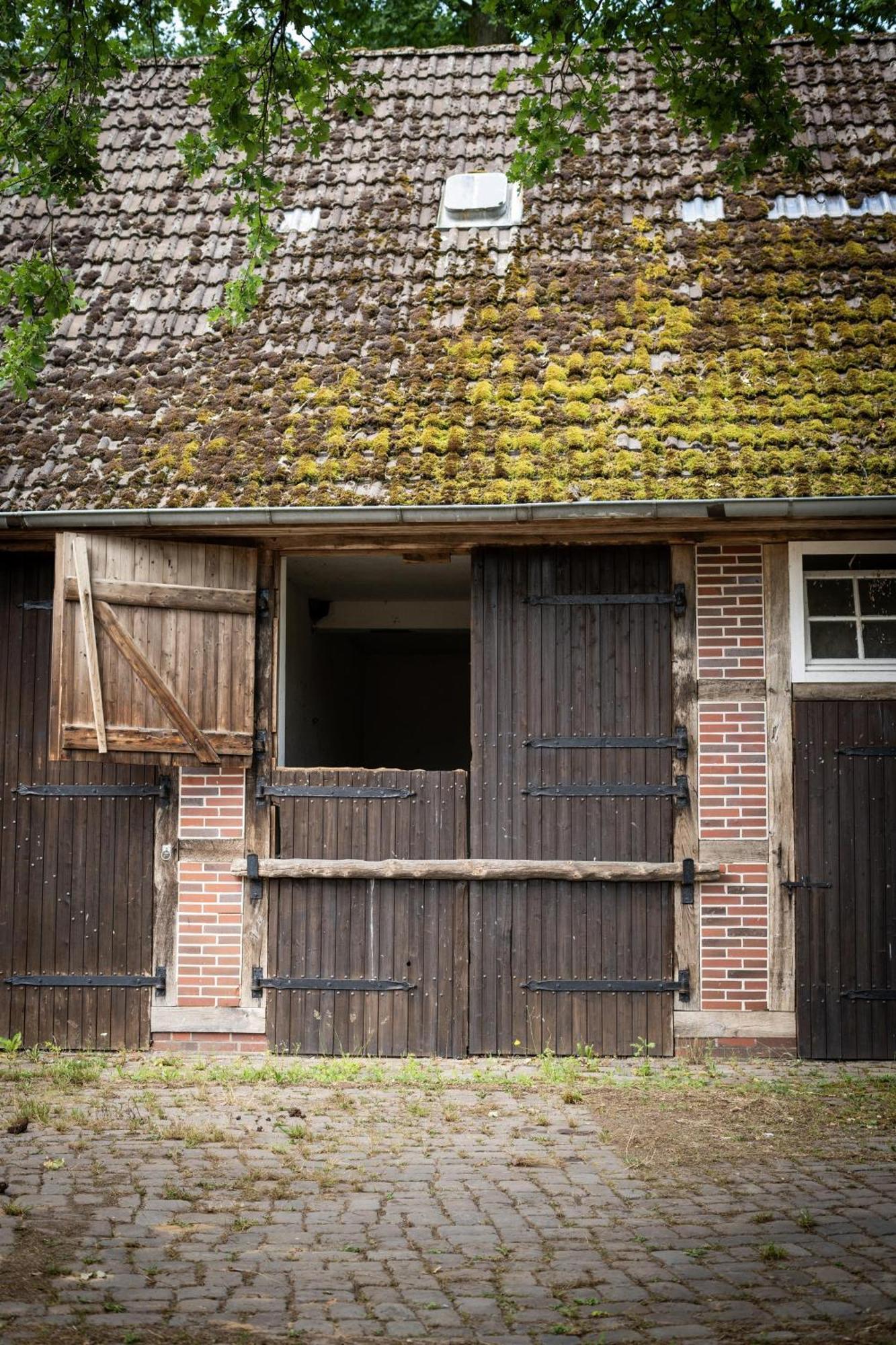 Heidehof Oberhaverbeck Villa Bispingen Exterior foto